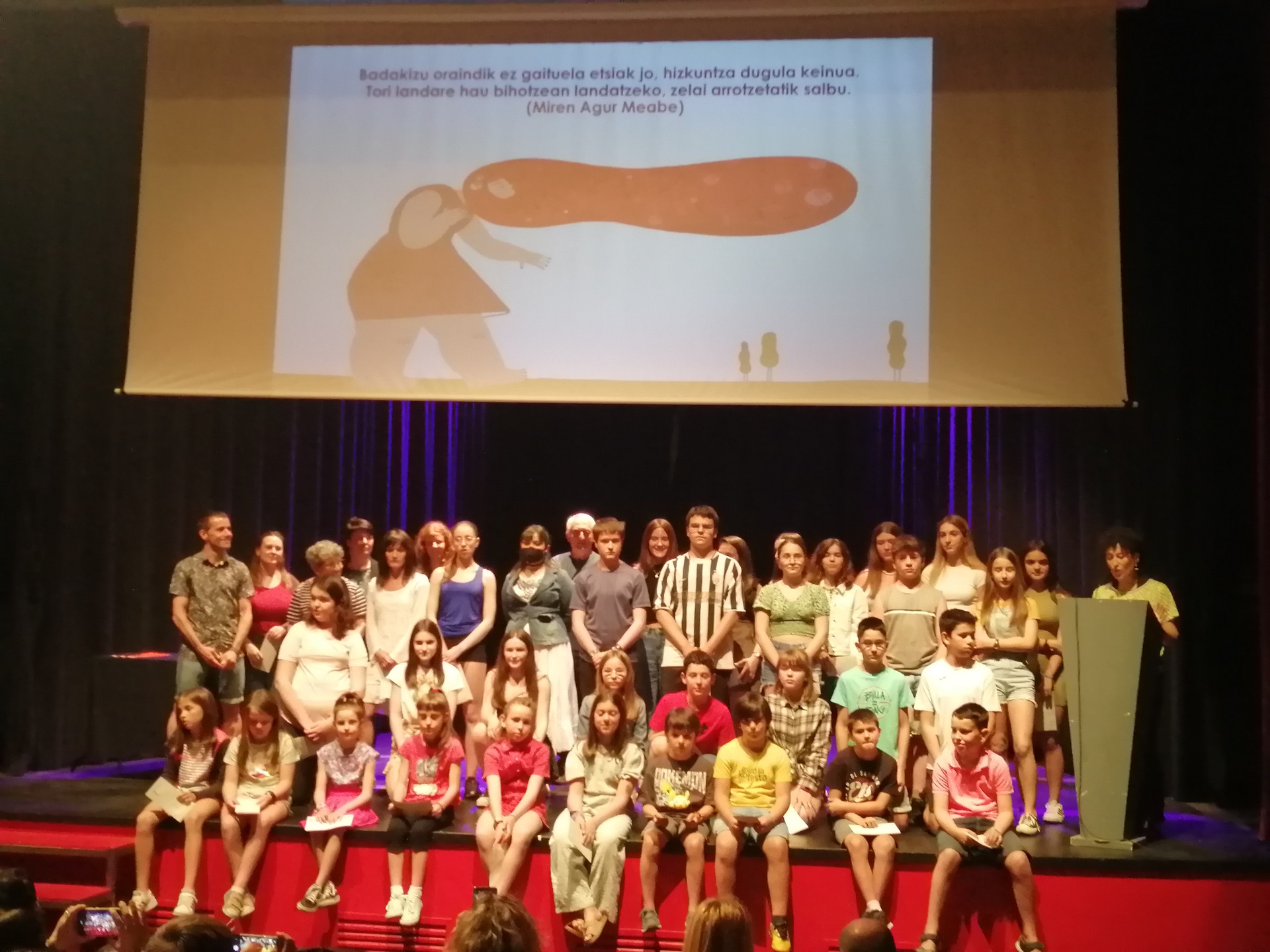 Literatura saritzera