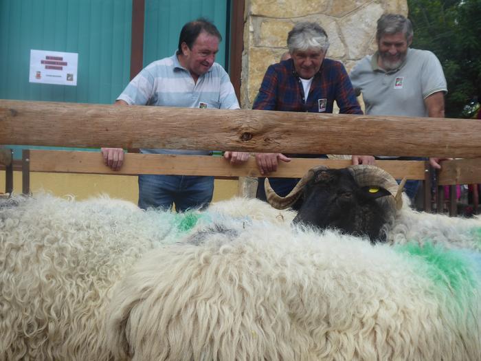 Artzai Eguna berezia