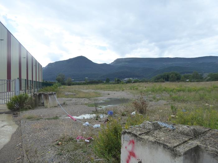 Industria biziberritze eta dibertsifikazio plana eskatu dute