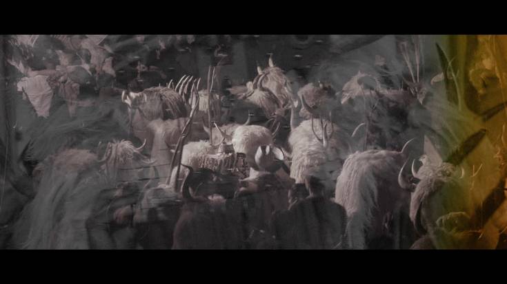 Momotxorroen inguruko dokumentala, gazte gunean