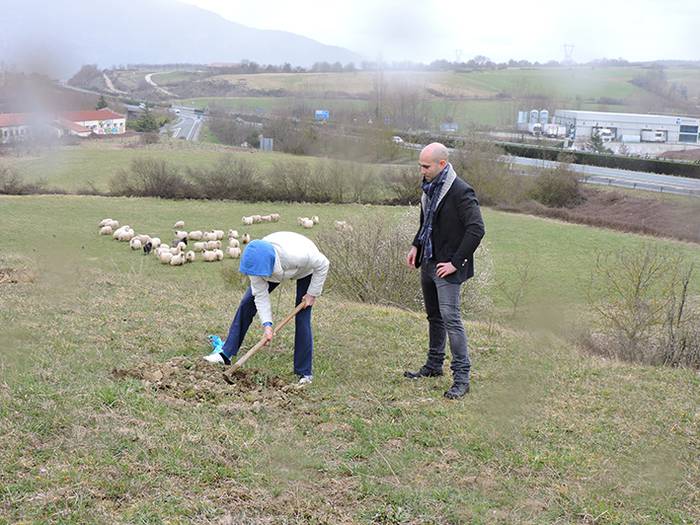 Zuhaitzaren eguna: 2021. urtean jaiotako haurren familiek zuhaitz bana landatuko dute