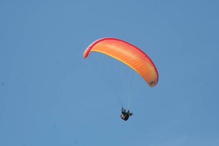 Parapentelaria larri zaurituta