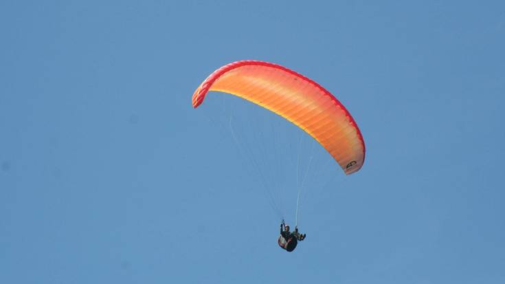 Parapentelaria larri zaurituta