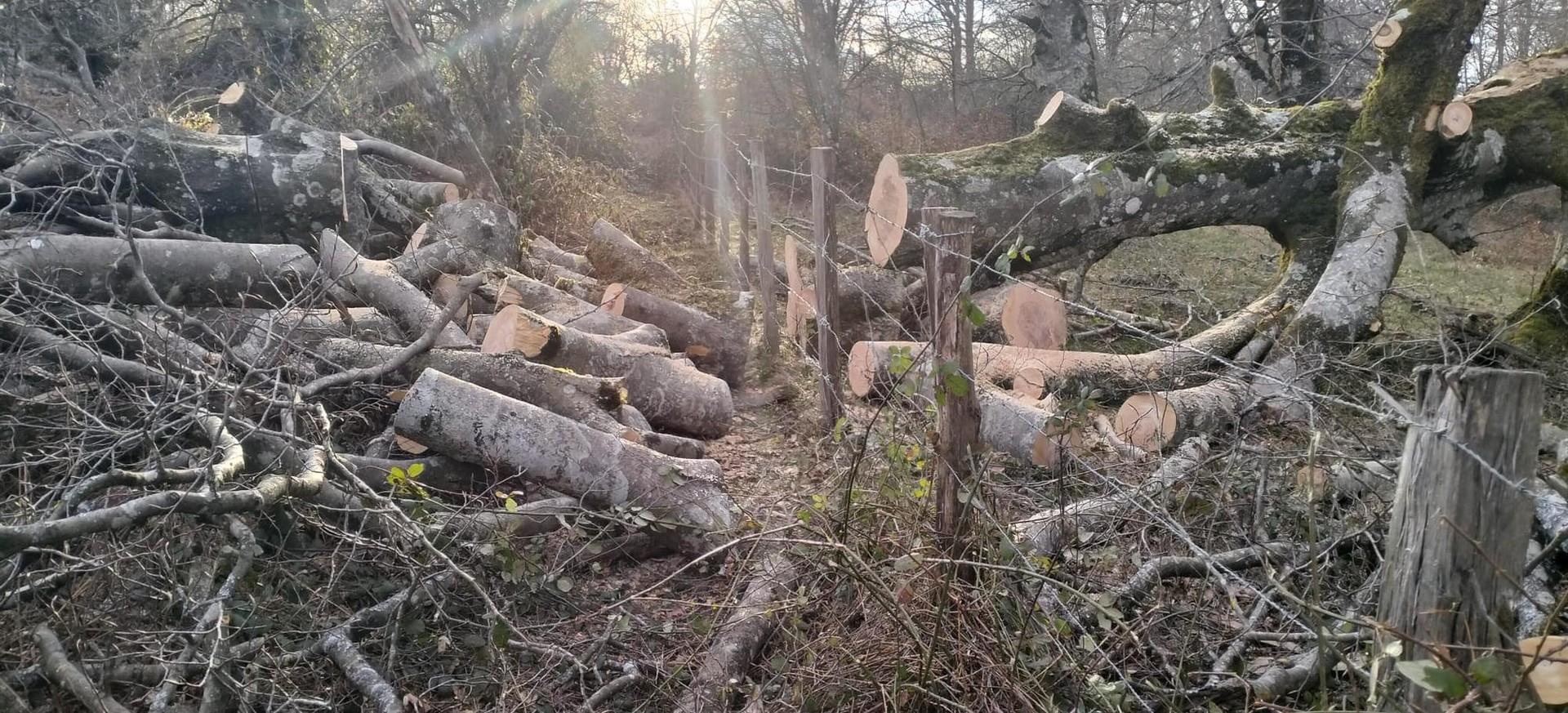 Lanak natur parkea