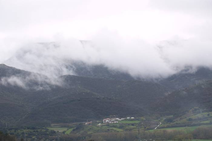 Kontzejuak baso aprobetxamendua saldu nahi du