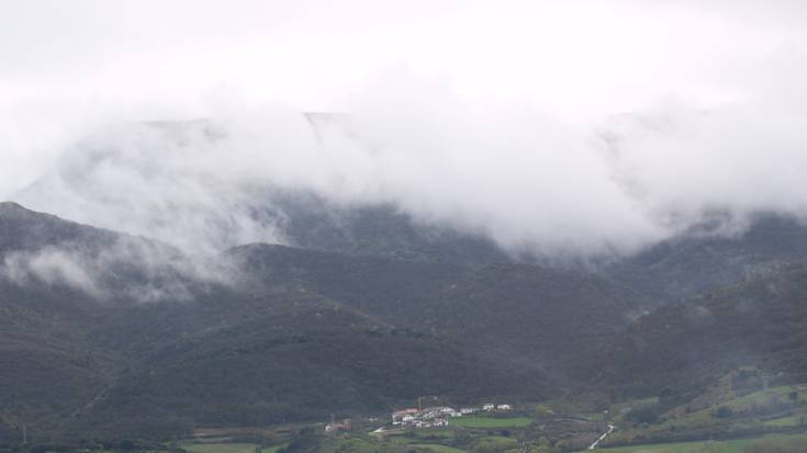 Kontzejuak baso aprobetxamendua saldu nahi du