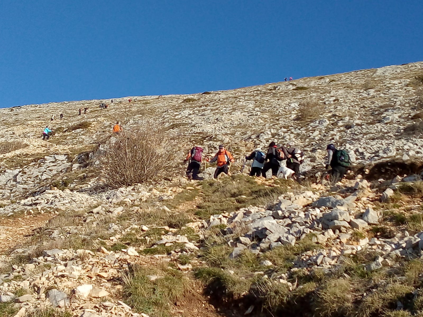 Alturako erromeria