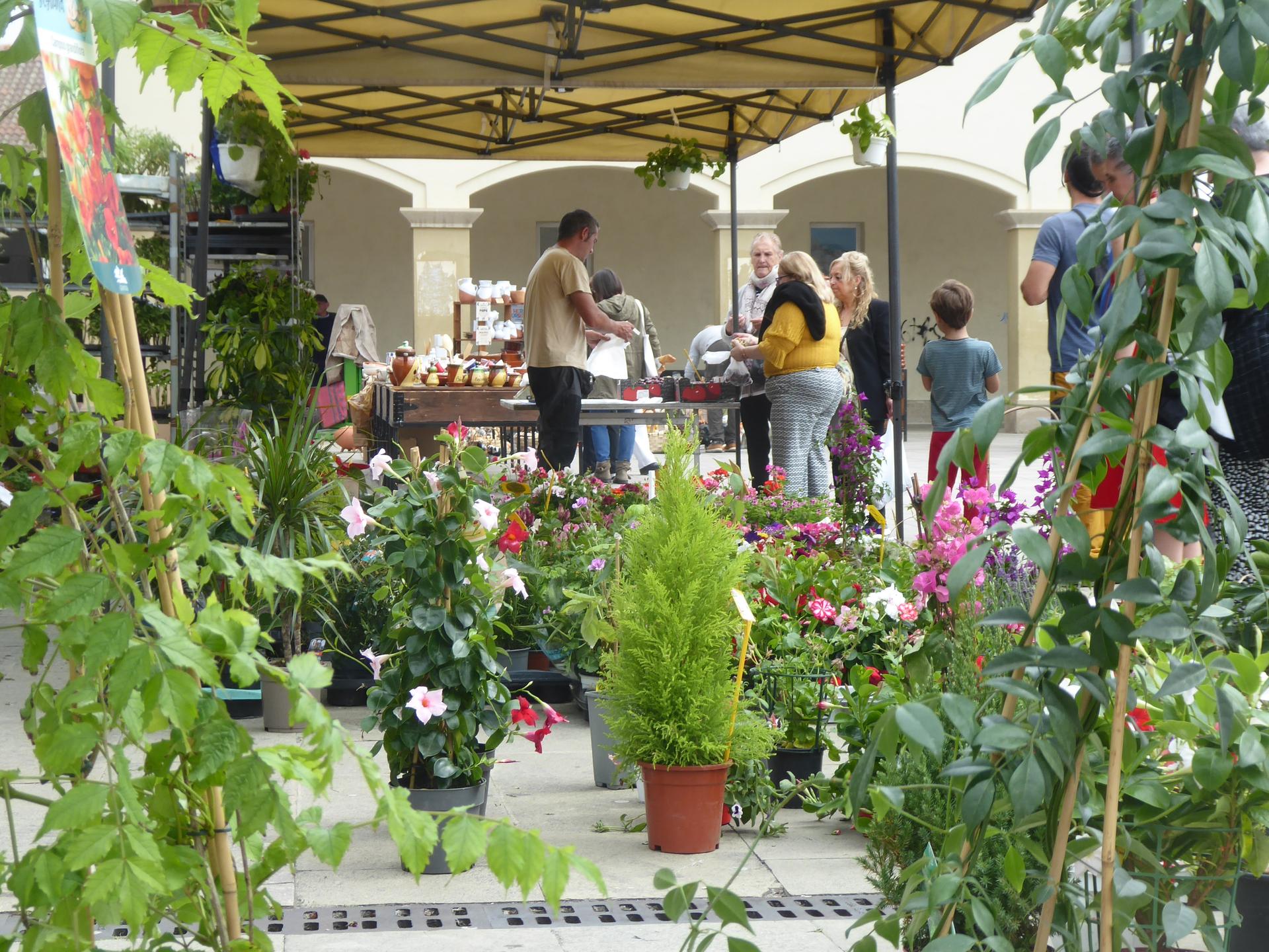 Irurtzungo plaza lorez beteko da