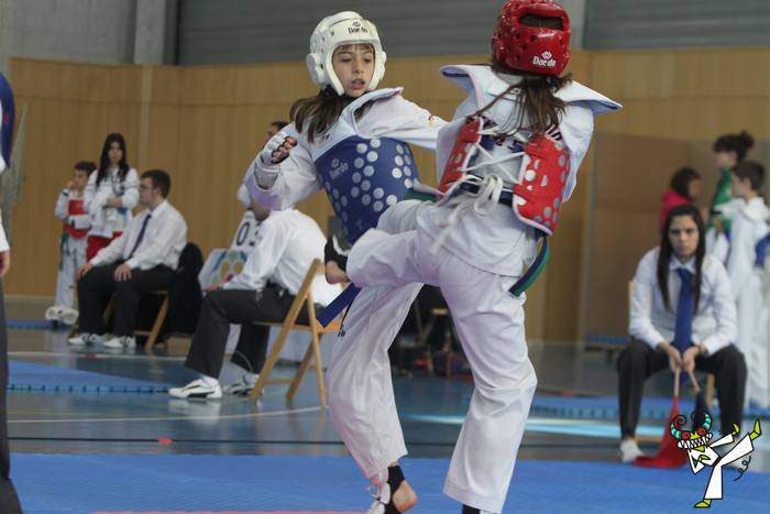 Nafarroako 200 taekwondolari Altsasun
