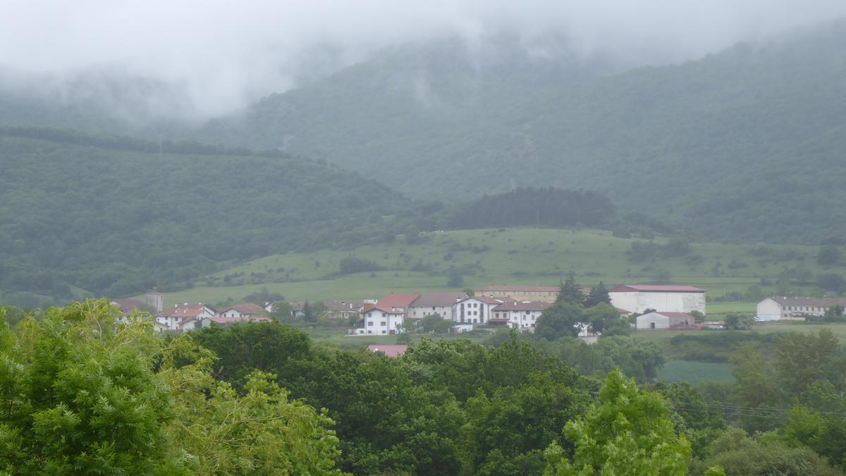 Kontzejuak baso aprobetxamendua saldu nahi du