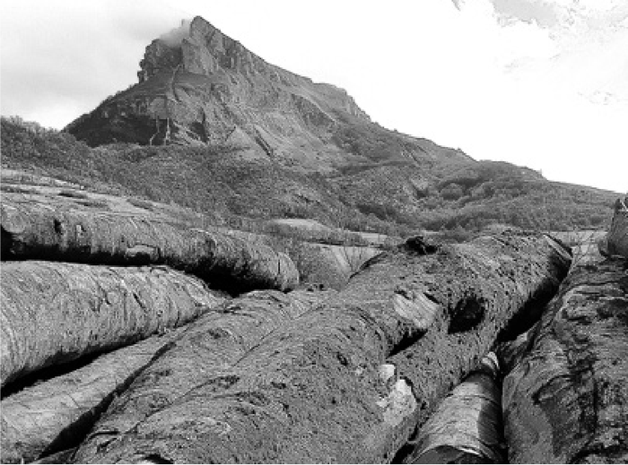 Sakanako euskal lexia konposatuak (XV)