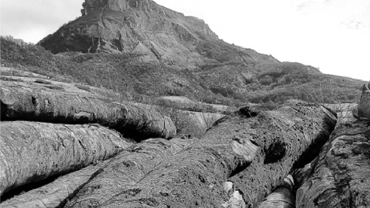 Sakanako euskal lexia konposatuak (XV)