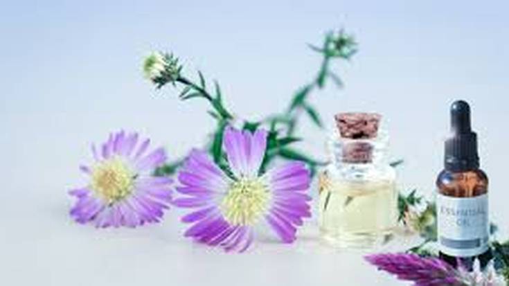 Olio esentzialen tailerra