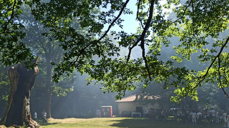 Altsasuarrak hariztian elkartuta