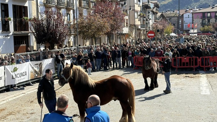 Zelai kalea Sakanako zaldi aziendaren erakusleiho bihurtuta