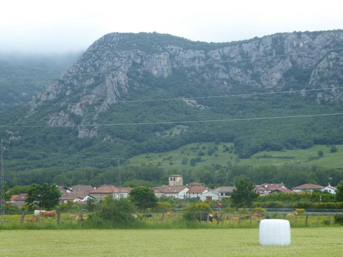 Eraikingintza-ordenantza aldatu du udalak