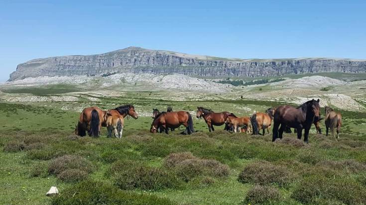 Natur parkean bi lan egiteko emateko deialdia