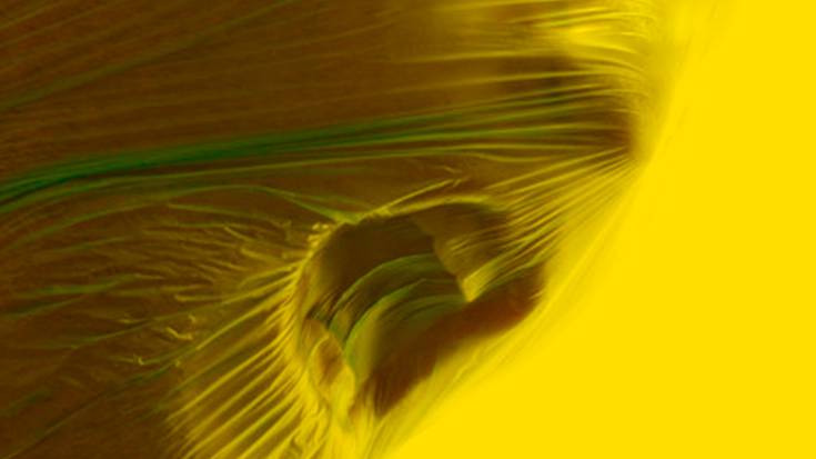 Ospa!-k tortura salatuko du