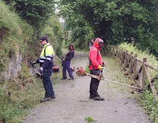 "Lana eginda hobetze sentsazioa izaten dute"