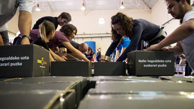 Errigorako 290 saski Sakanara