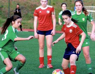 Nafarroako eta Bizkaiko selekzioen partidek ikusmina piztu zuten Sakanan
