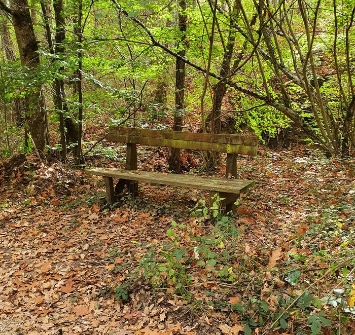 Jarri zerorrek izenburua