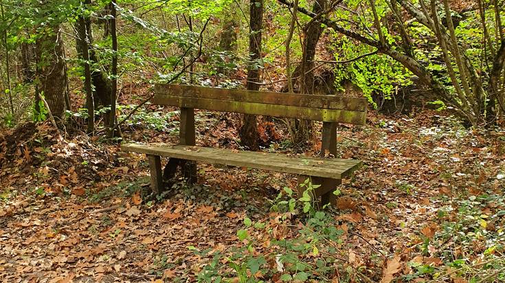 Jarri zerorrek izenburua