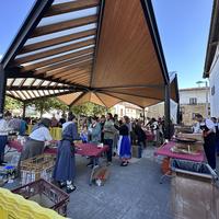 Txistor egunak Arbizun