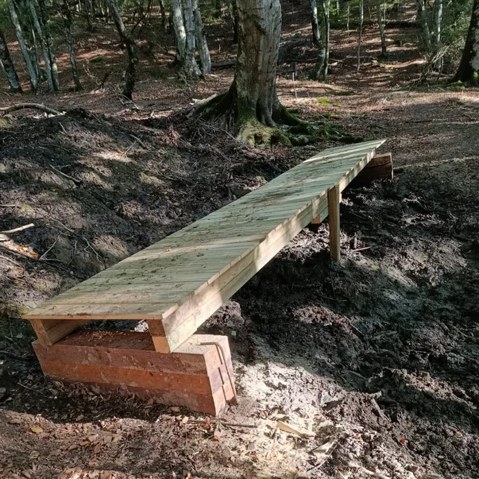 Hobekuntzak Goldarazko bidean