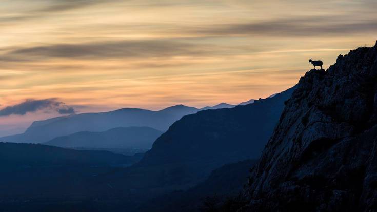 Uharte Conocer Navarra argazki lehiaketan bigarrena