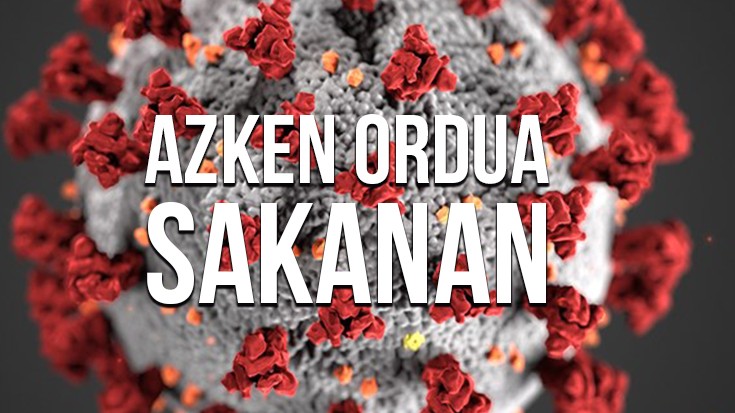 Koronabirusaren jarraipena Sakanan