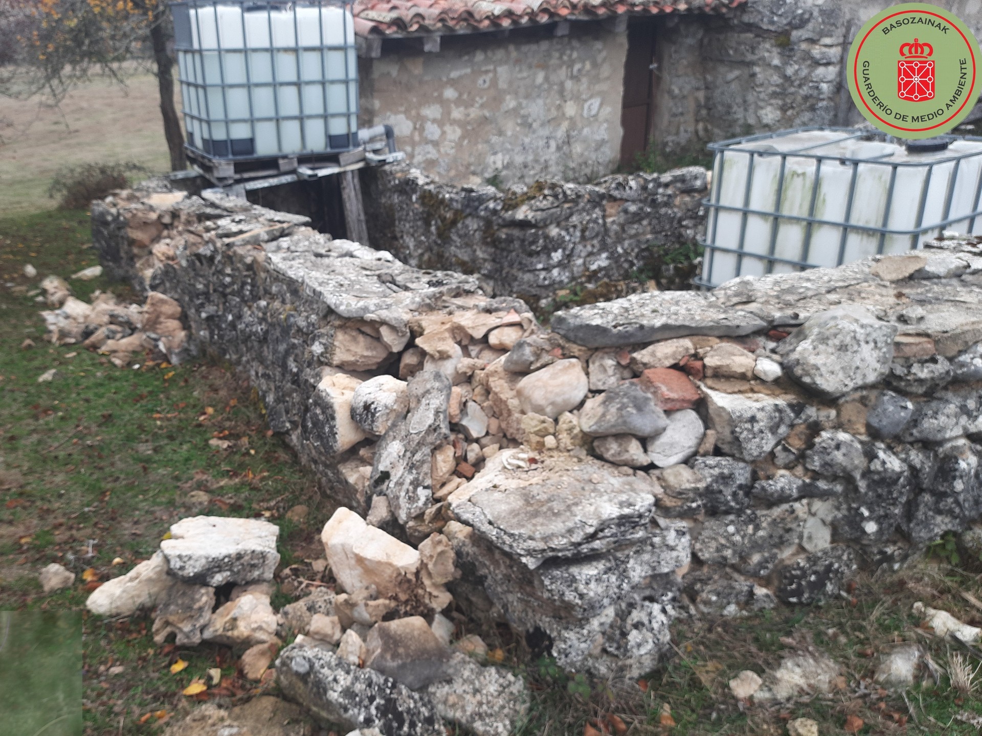 Basozainek natur parkeko artzain txabolak ere zaintzen dituzte