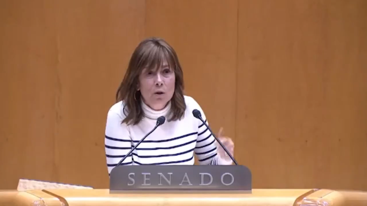 Hego Euskal Herriko AHTren "definizioan eta akaberan aurrera egiteko" eskatu dio Senatuak Gobernuari