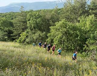 Hiriberriarrak Albin gozo