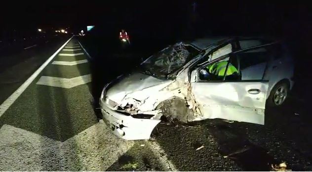Gidaria onik autobian istripua izan ondoren