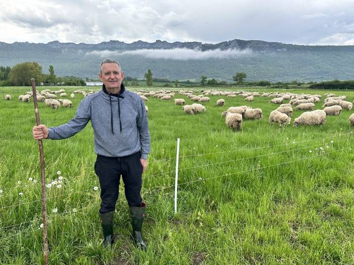 "Ardiak ile asko baldin badauka sufritu egiten du"
