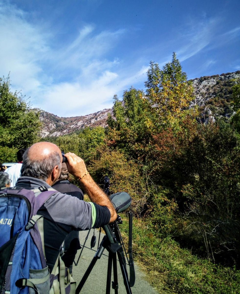 Ornitologia asteburua, Sakanako hegaztiak ezagutzeko aukera
