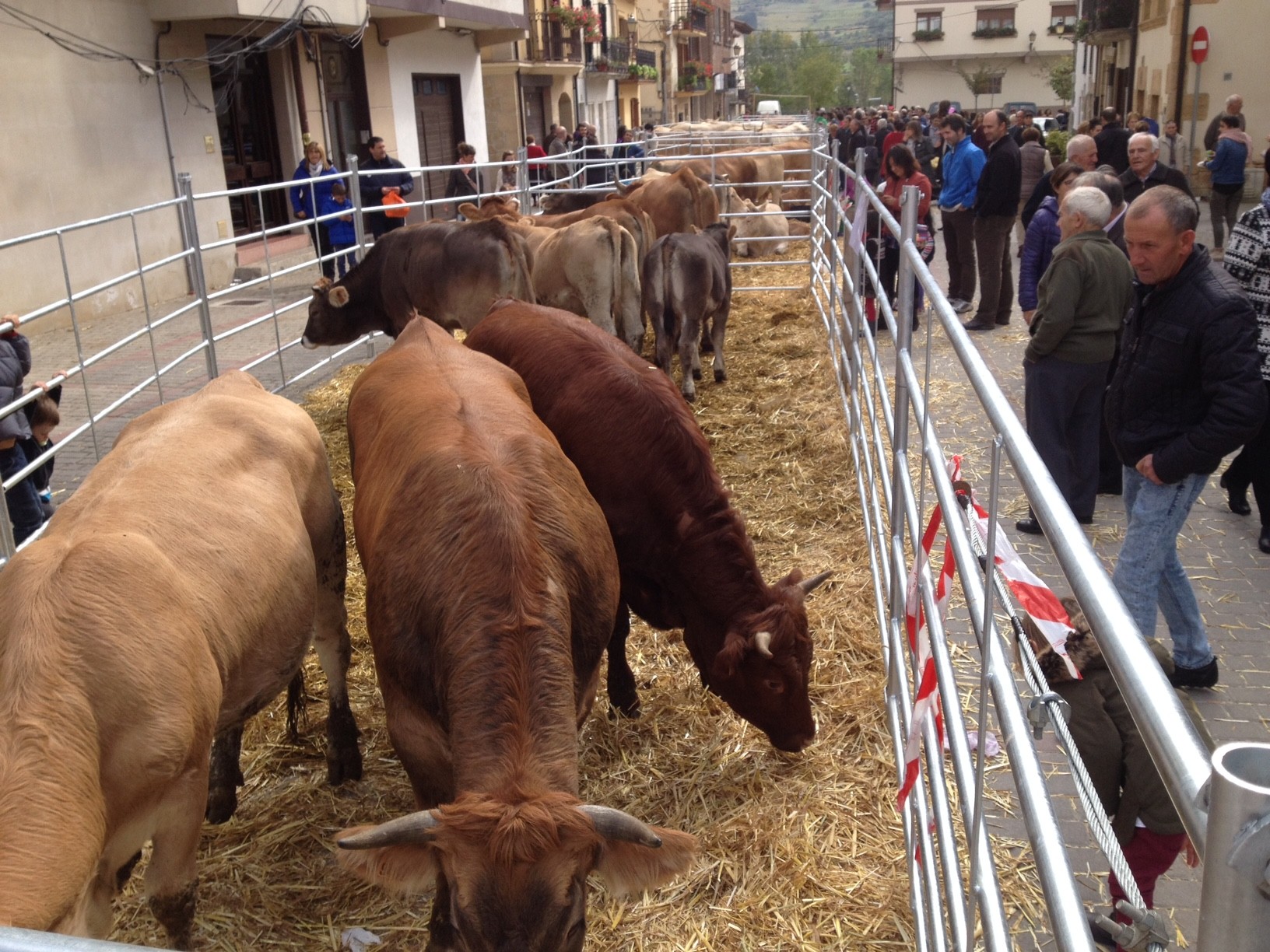 51 argazki era feria irudikatzen