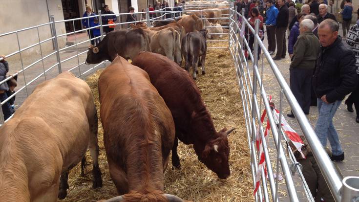 51 argazki era feria irudikatzen