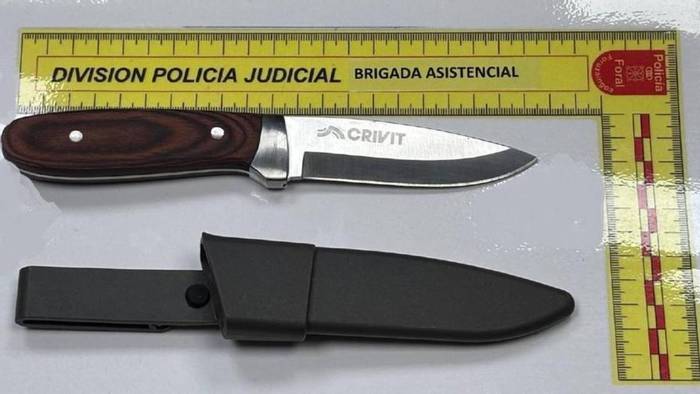 Giza hilketa saiatzeagatik atxilotutako kamioilaria libre