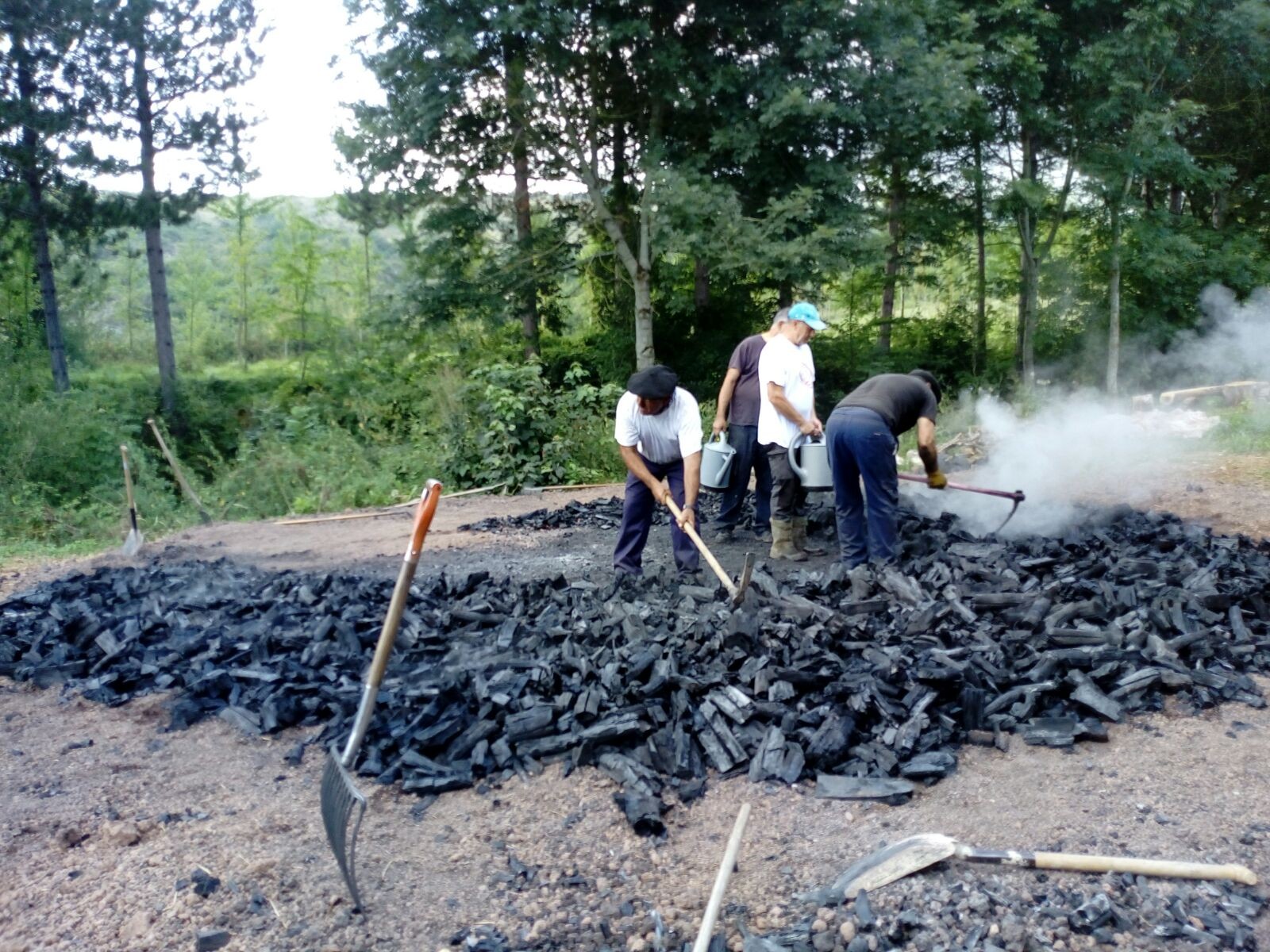 Txondorrak tona erdi ikatz eman zuen 