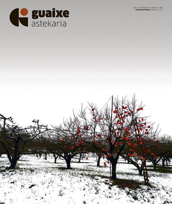 656 alea