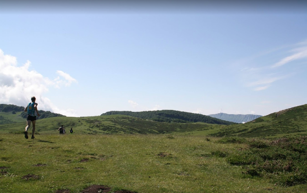 Aralar zaintzen duen elkartea