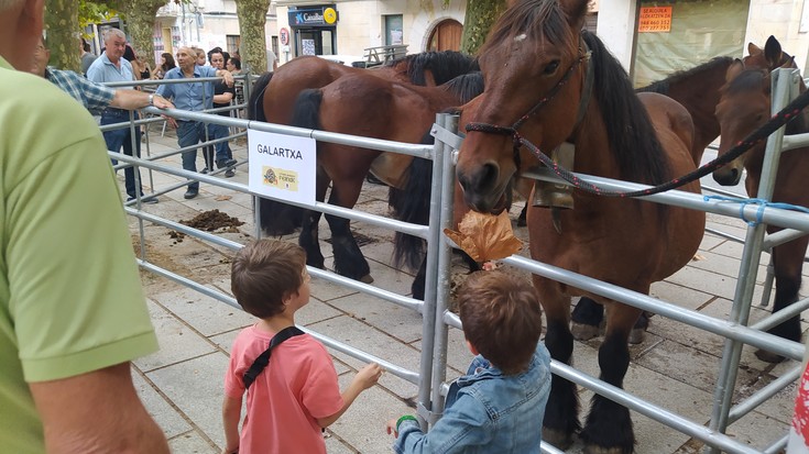 Giro ederra ferietan