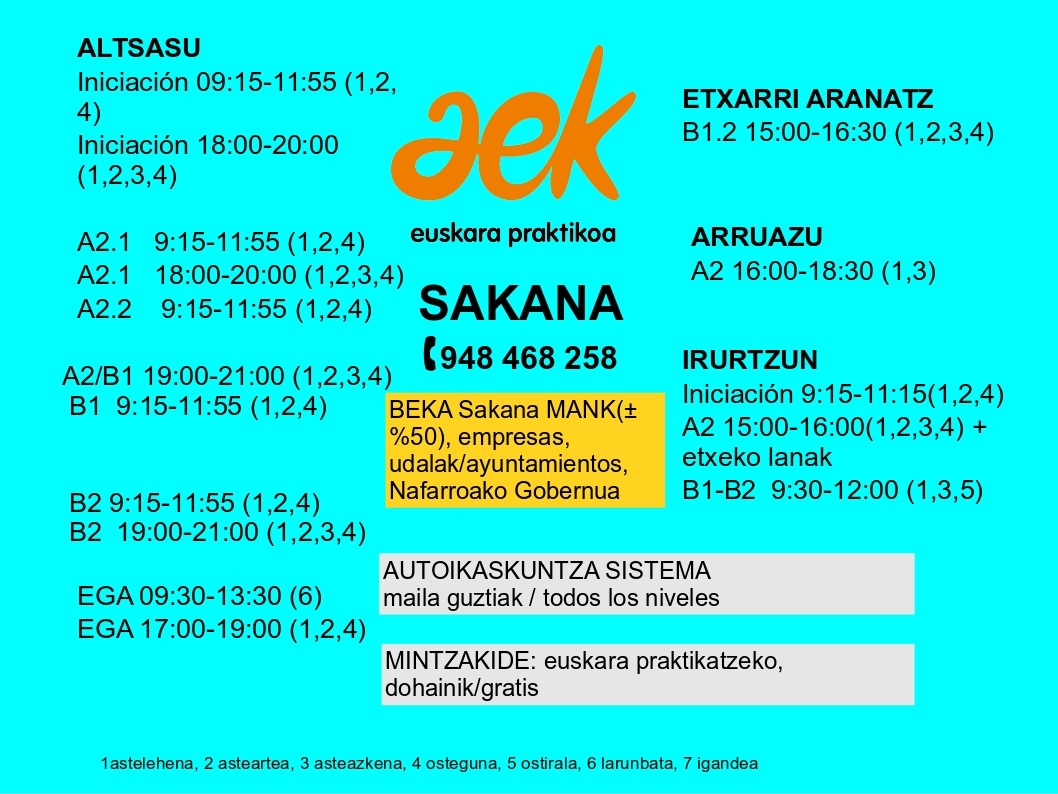 C1 eta EGA probetarako prestatu nahi?