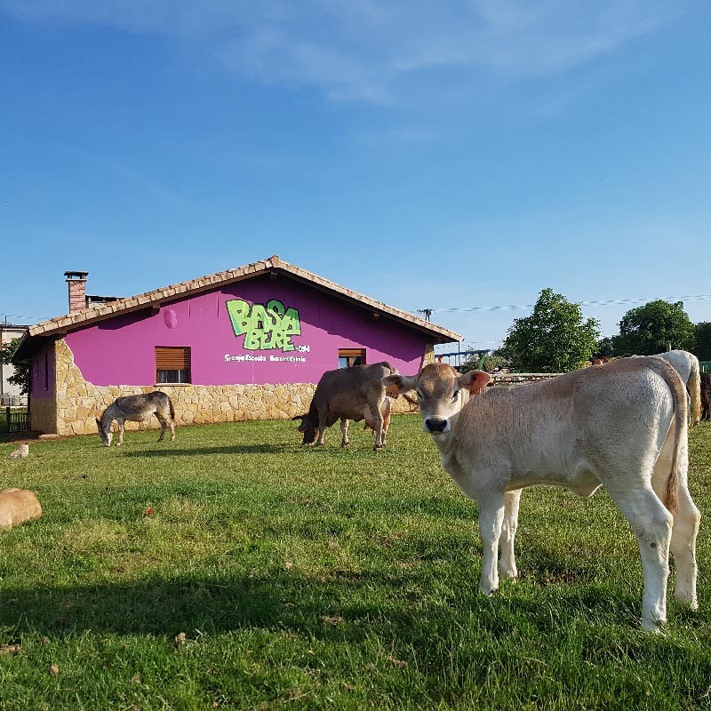 Intxostiapuntarekin Basaberera bisita