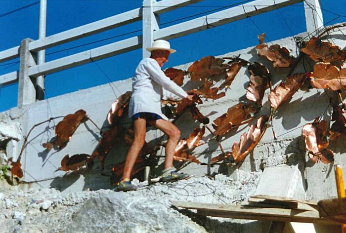 Ziordiko tunela, mustuta