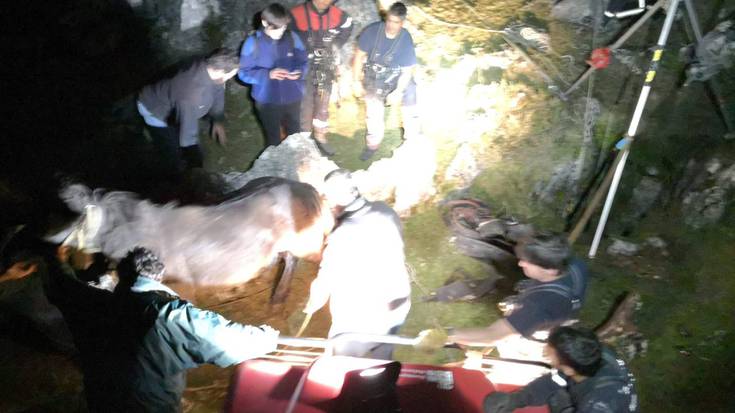 Suhiltzaileak Aralarren lanpetuta 