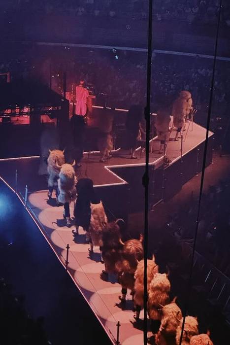 ZETAK-en Mitoaroa trilogia San Mamesen amaituko da