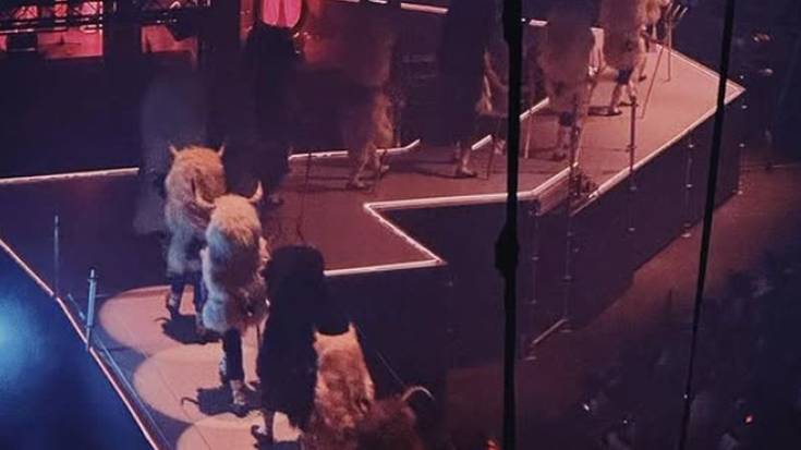 ZETAK-en Mitoaroa trilogia San Mamesen amaituko da